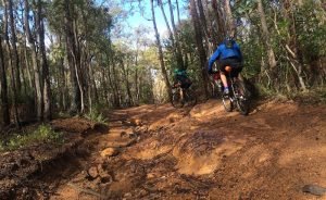 Munda Biddi, Cycling